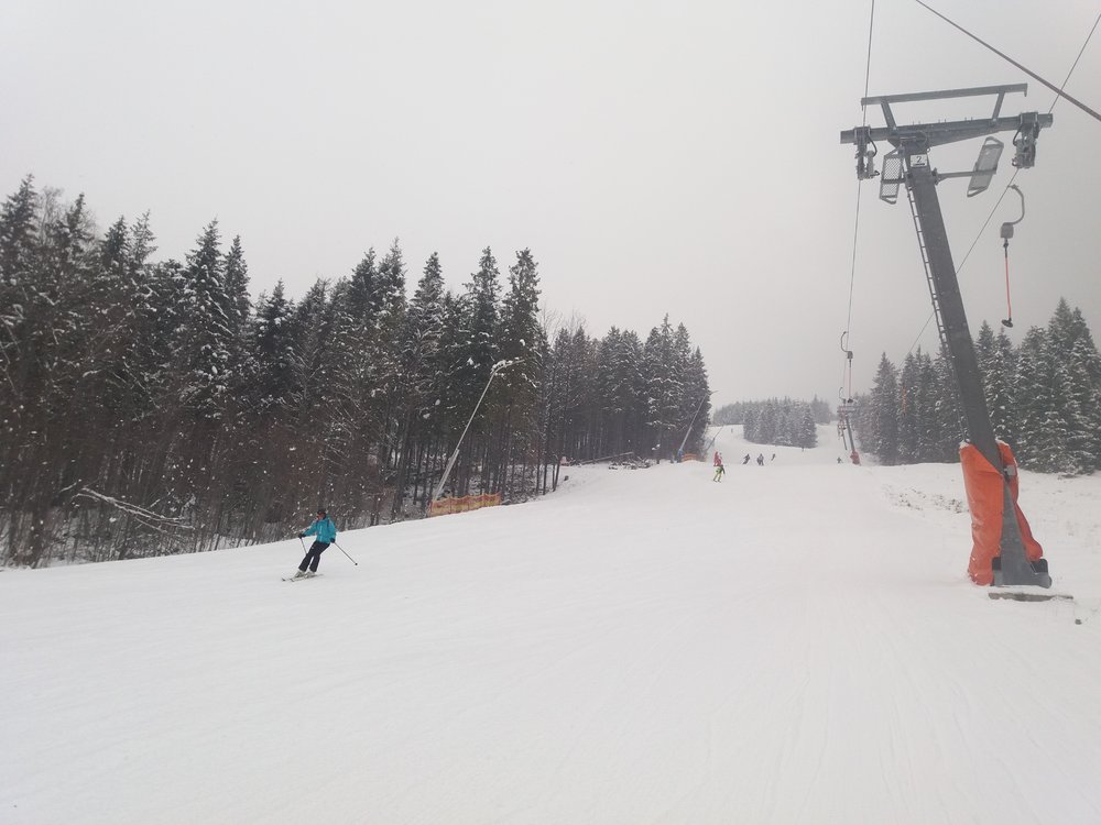 20180210_113325.jpg