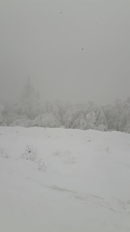 20180210_114955.jpg