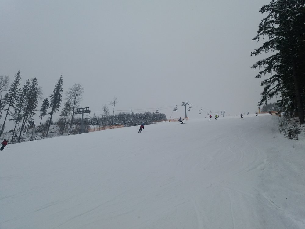 20180210_115027.jpg