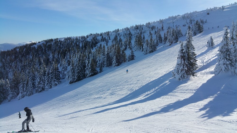 20180217_093319.jpg