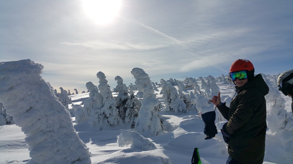 20180217_101847.jpg