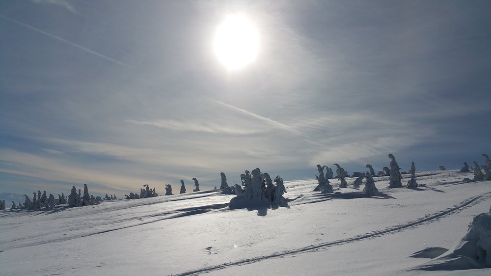 20180217_102058.jpg