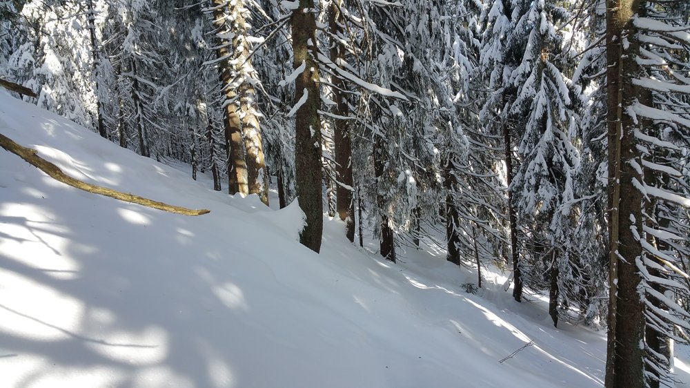 20180217_102917.jpg