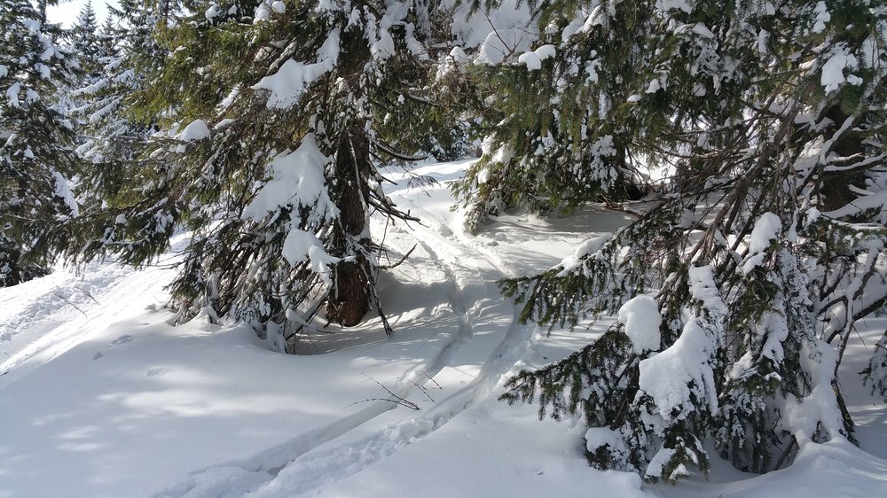 20180217_113041.jpg