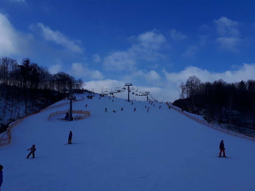20180218_100416.thumb.jpg.9229a20f009db49e8c91f85c97c48972.jpg