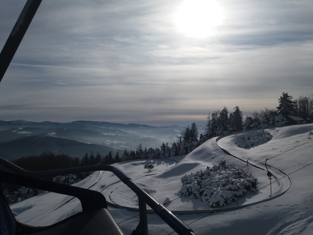 20180220_095335.thumb.jpg.2c40a8db388096014fa75ab4d8a1b2af.jpg