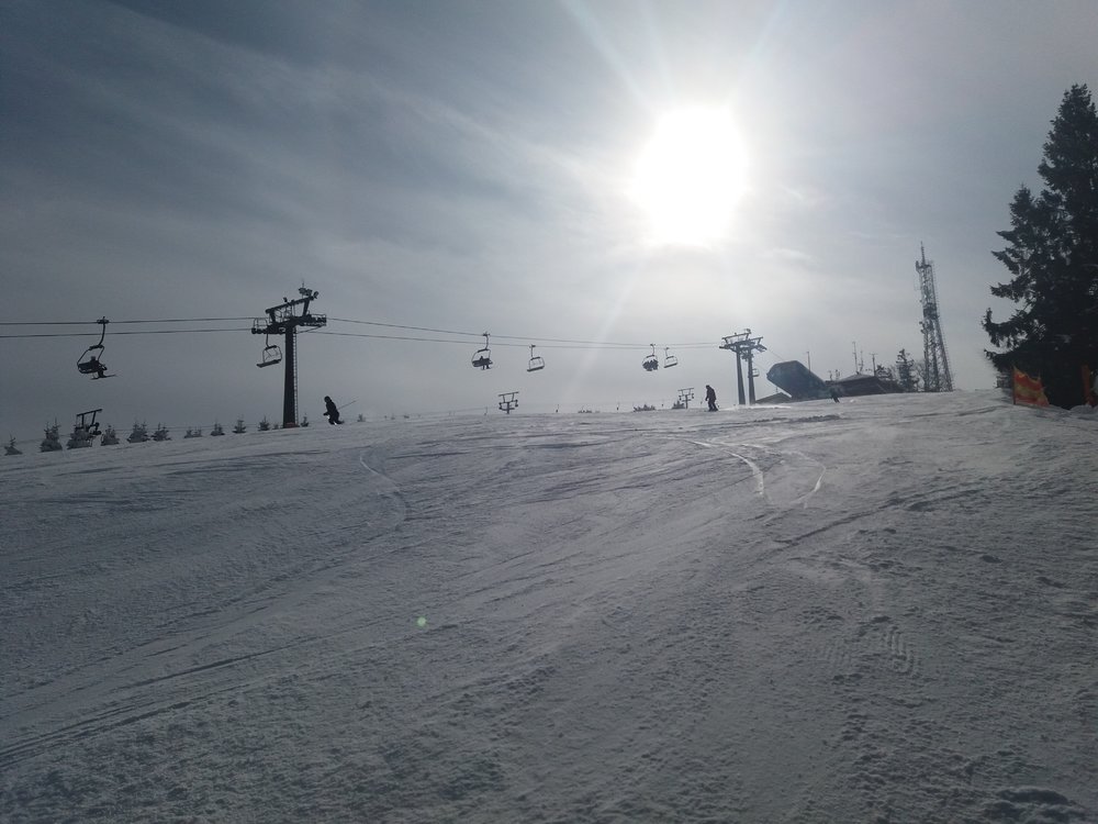20180220_115129.thumb.jpg.75b1c2ac32ba953bbb27f100d387072c.jpg