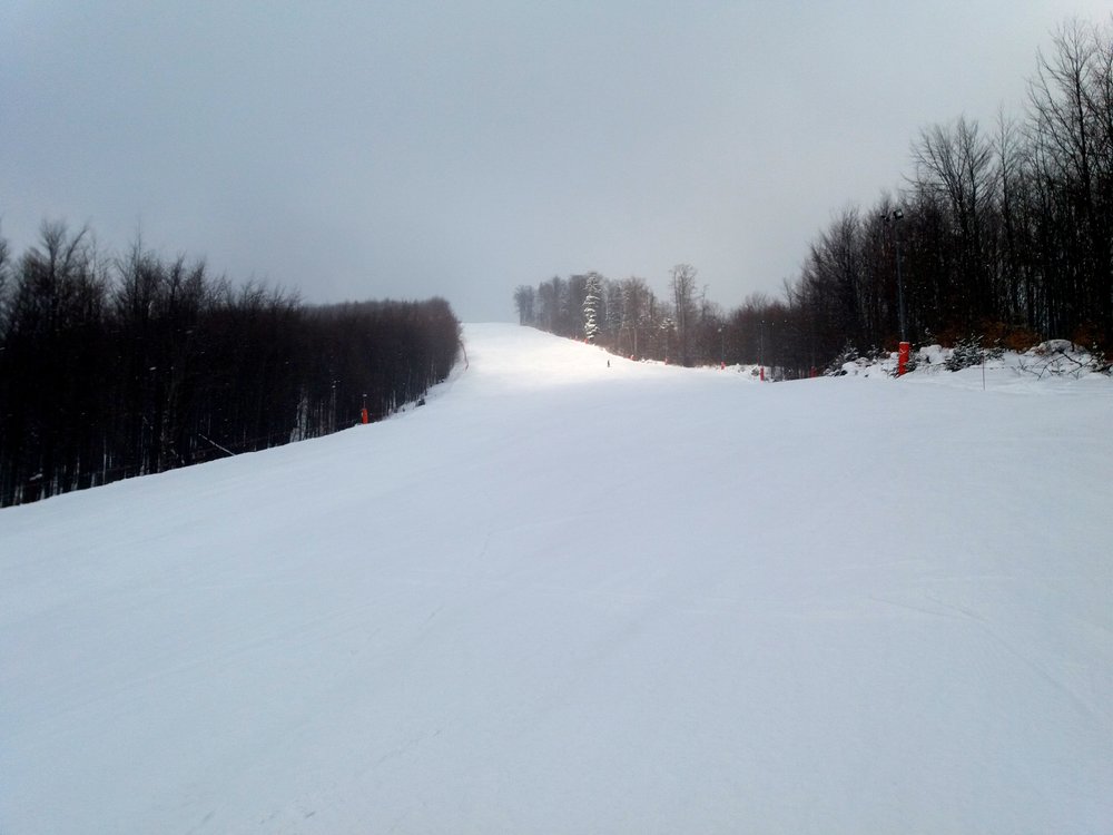 20180226_150643.thumb.jpg.da02e6ba085e406caa44673ec1ad3058.jpg