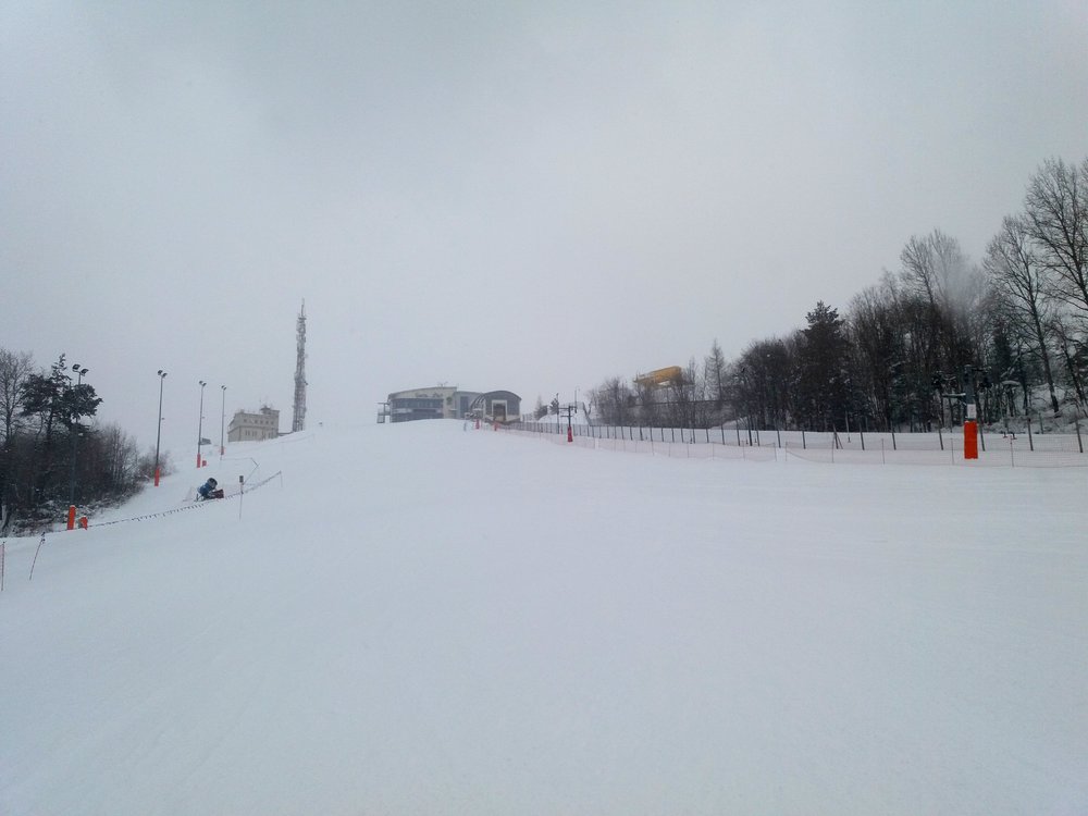 20180227_150851.thumb.jpg.4d80ac368a8fde537fa4d949dc6fe4b1.jpg