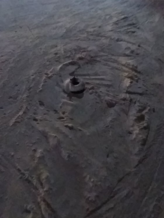28312788_1697831820273698_1188620537_o.jpg