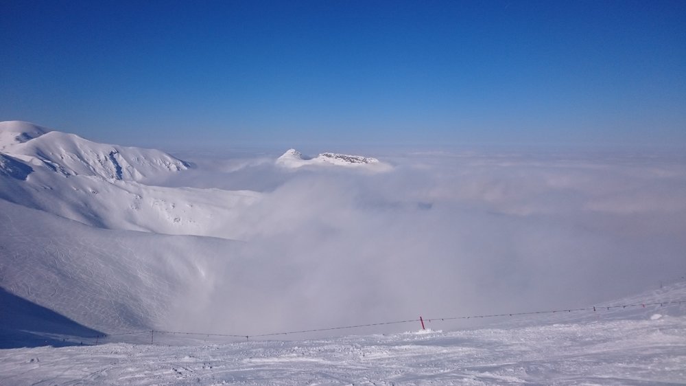 DSC_0051.JPG