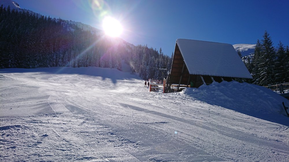 DSC_0198.JPG