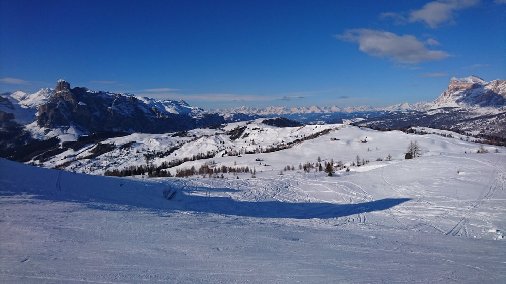 DSC_9870.JPG