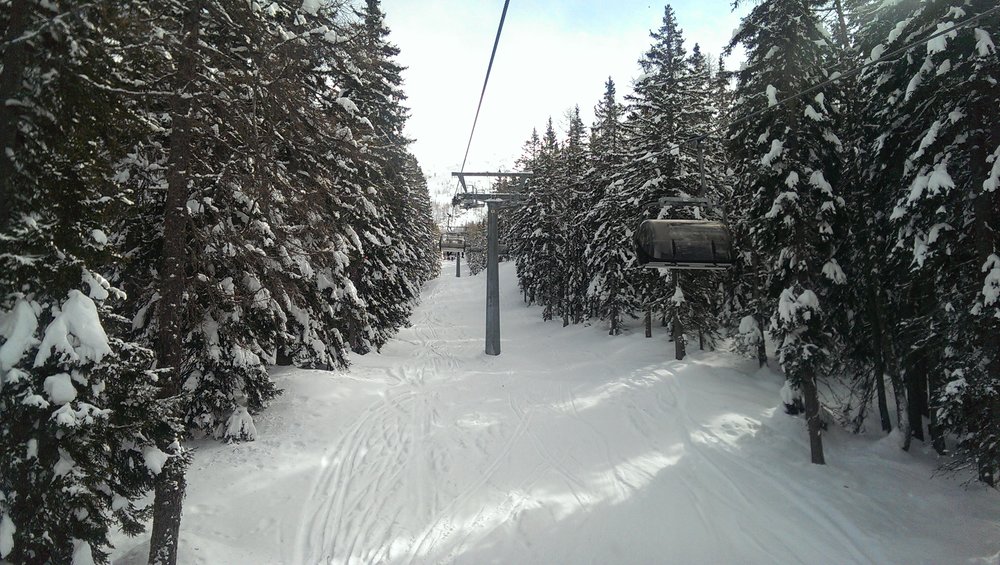 IMAG0947.jpg