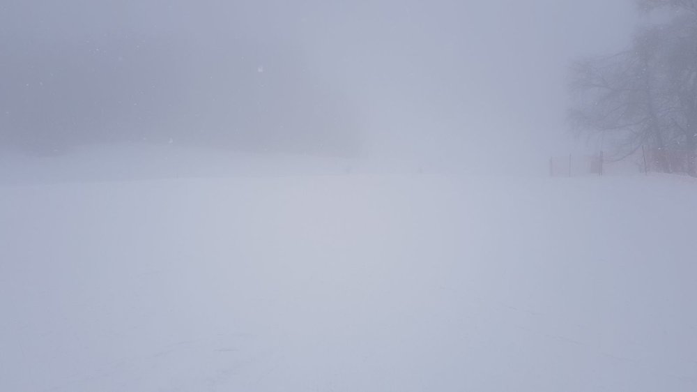 SAVE_20180202_085159.jpeg