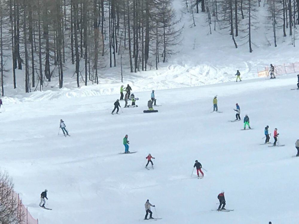 SAVE_20180212_123110.jpeg