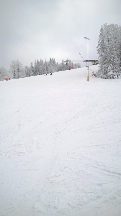 WP_20180215_12_08_06_Pro.jpg
