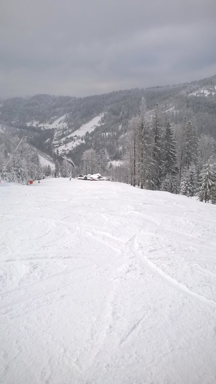 WP_20180215_12_10_27_Pro_LI.jpg