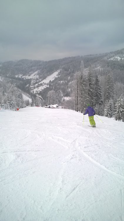 WP_20180215_12_10_41_Pro_LI.jpg