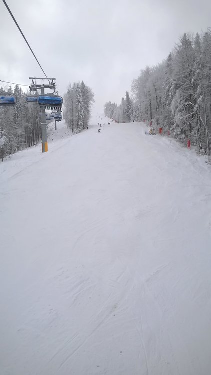 WP_20180215_12_23_33_Pro_LI.jpg