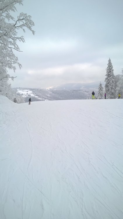 WP_20180215_12_29_17_Pro_LI.jpg