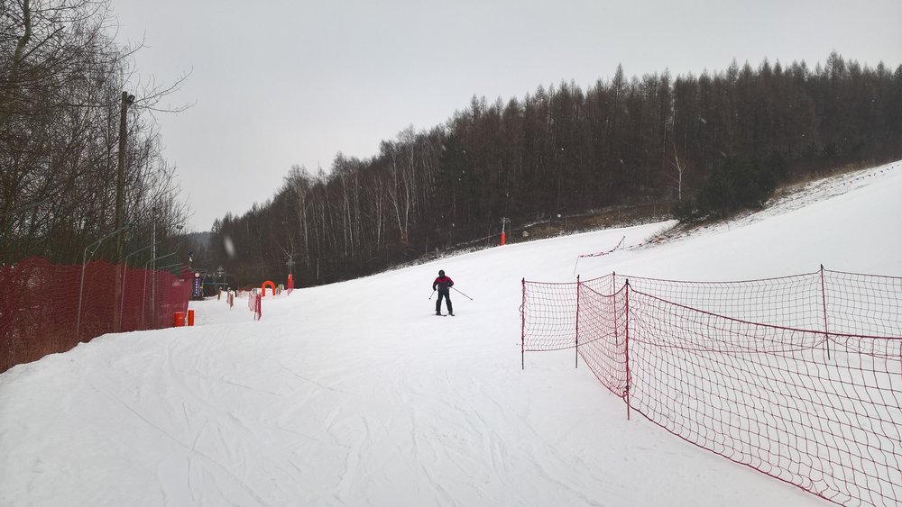 WP_20180227_13_45_39_Pro.jpg