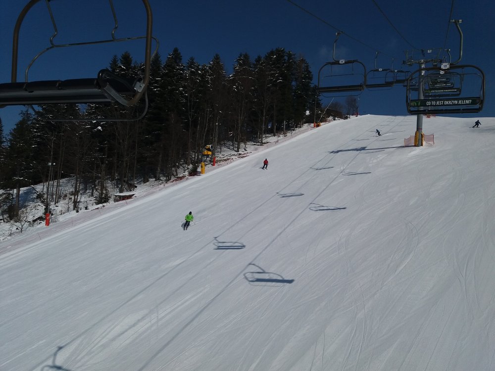 20180301_112646.thumb.jpg.aa7296b25fb1f31bf4b9c633029806bc.jpg