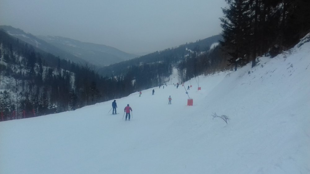20180302_103314.thumb.jpg.24f27f9d27b34873a53d3b1c0a92a9b6.jpg