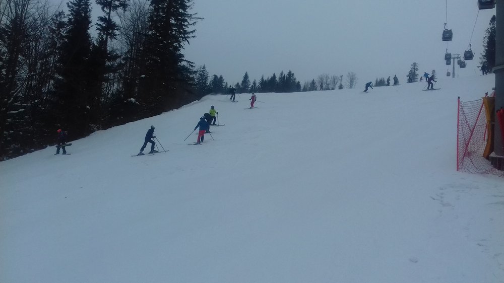 20180302_111717.thumb.jpg.df8b97471207f7a846ab3b4bf2620a0a.jpg