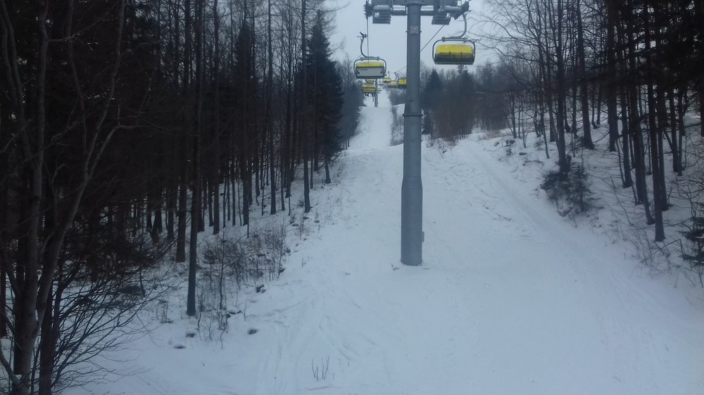 20180302_150422.thumb.jpg.9ec17970004efa96978c2b159629df98.jpg