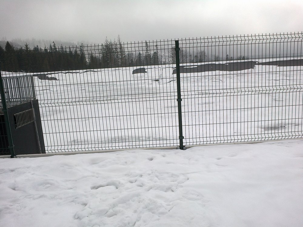 201803072826.jpg