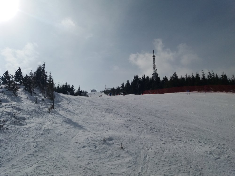 20180308_102033.thumb.jpg.e1abc8684c268e178f650d4089de3aec.jpg