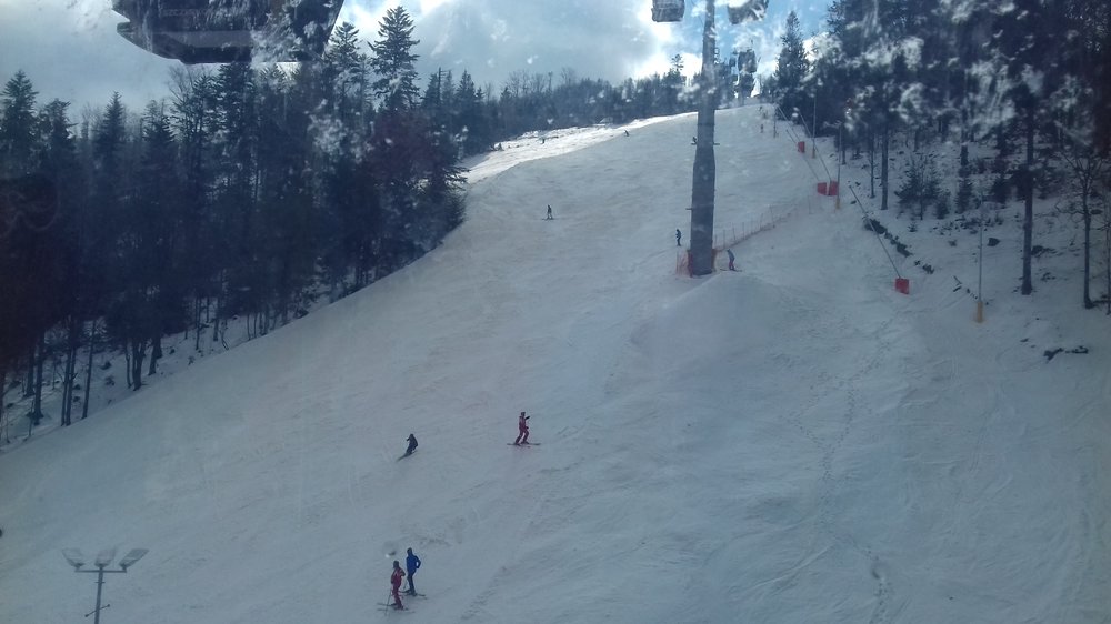 20180309_104702.jpg
