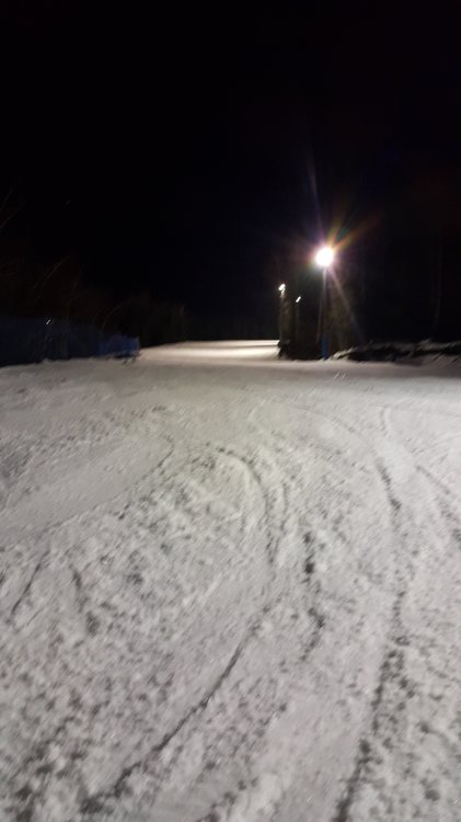 20180310_195444.thumb.jpg.131596208921a5edd17e260ba9dd3e88.jpg