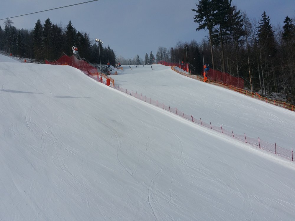 20180318_095343_001.jpg