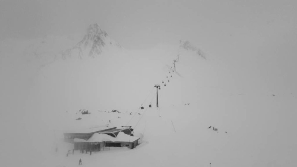 20180319_104054.jpg