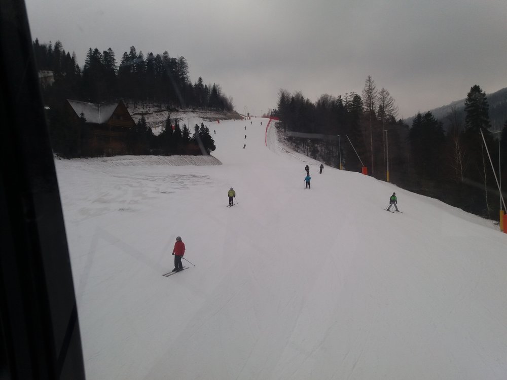 20180319_141430.thumb.jpg.d46443806557e30b321ac526418e4067.jpg