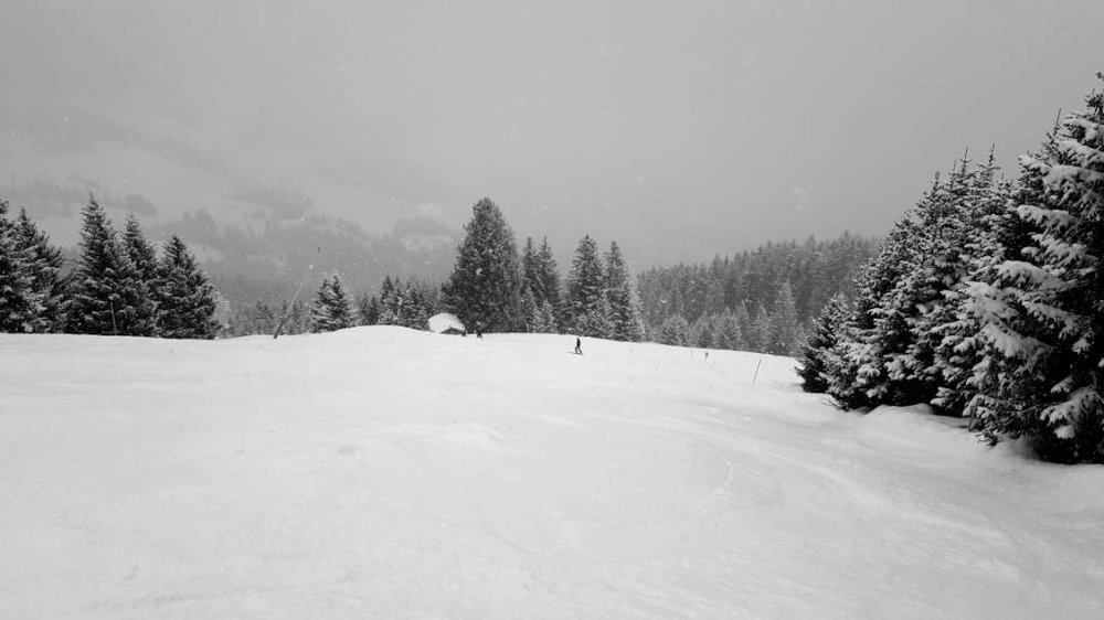 20180319_144755.jpg