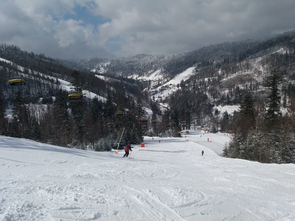 20180321_111254.jpg