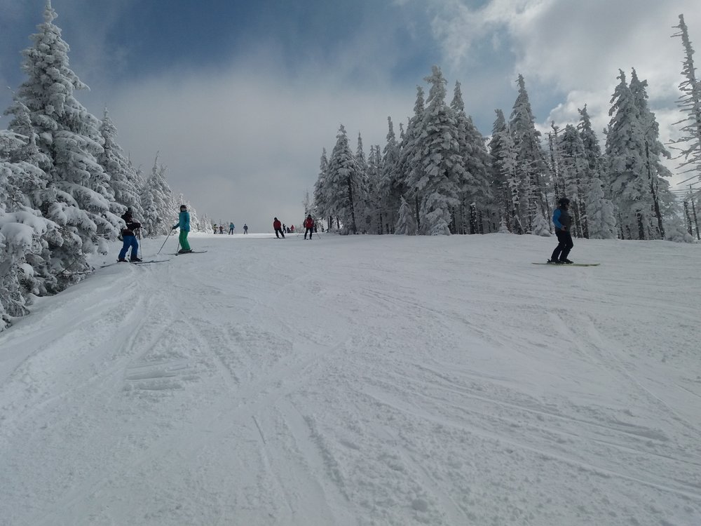 20180321_124350.thumb.jpg.25fc5823532e366bdd0fb69a97f8ee02.jpg