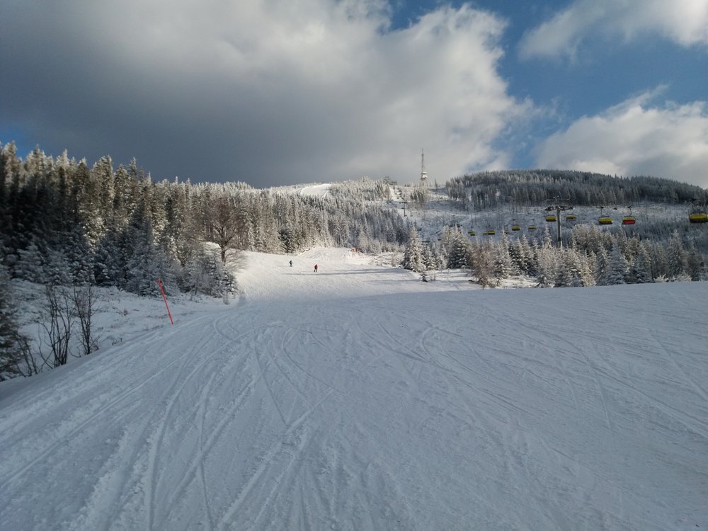 20180321_160953.thumb.jpg.dff0afe58512cb0e714de2670c75d750.jpg