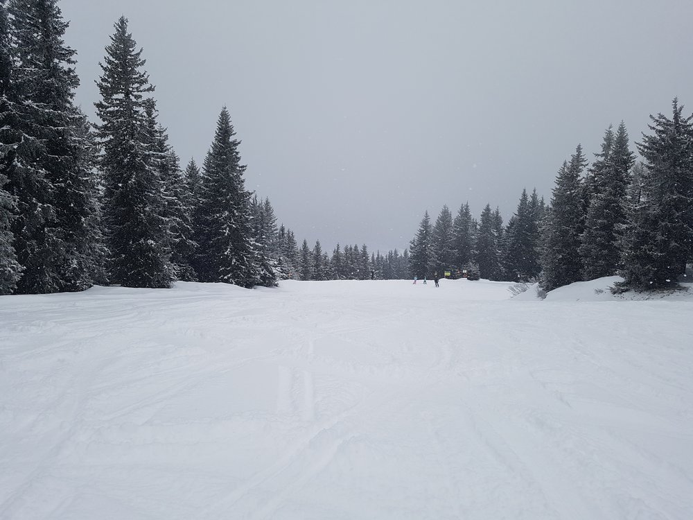 20180323_093111.jpg