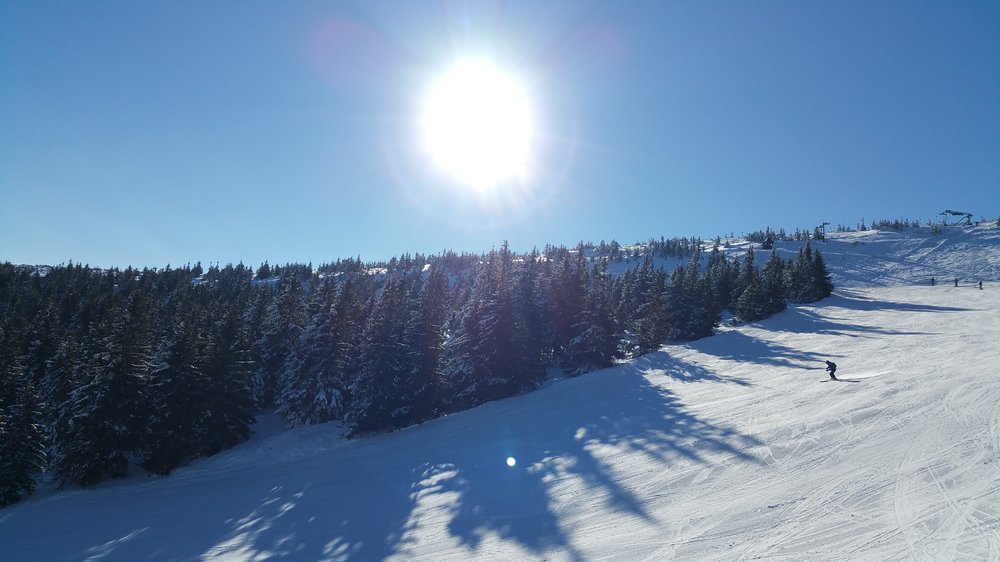 20180325_084816.jpg