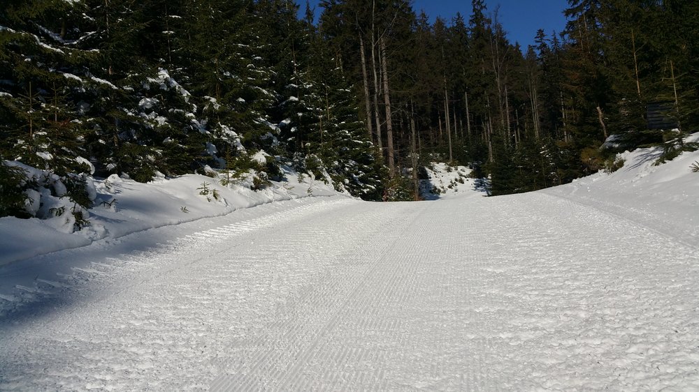 20180325_091919.jpg