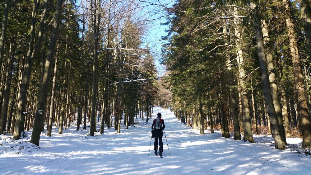 20180325_093348.jpg