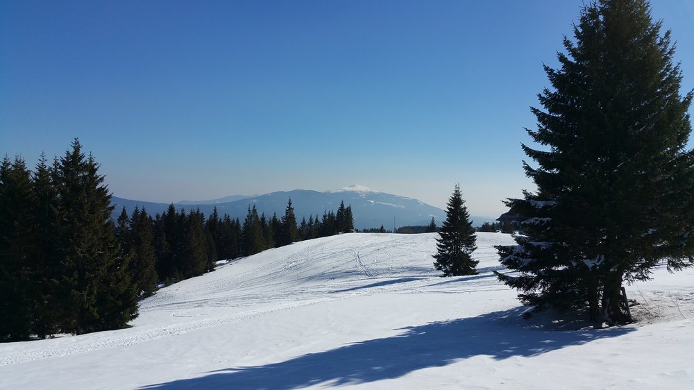 20180325_101526.jpg