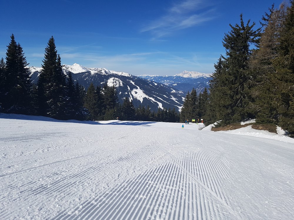 20180325_102458.jpg