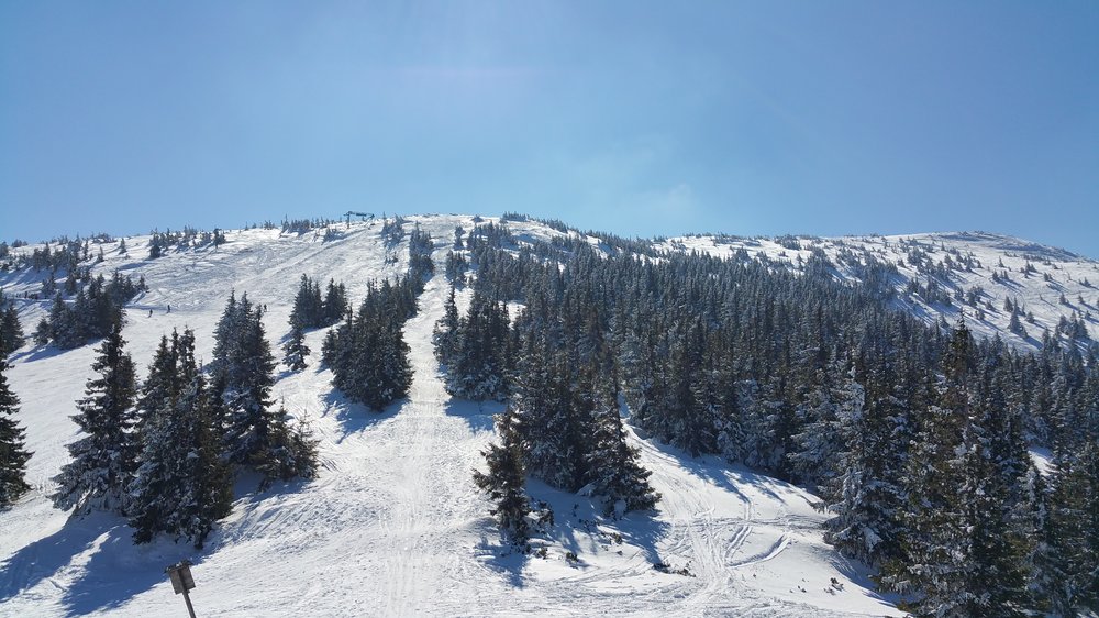 20180325_104154.jpg