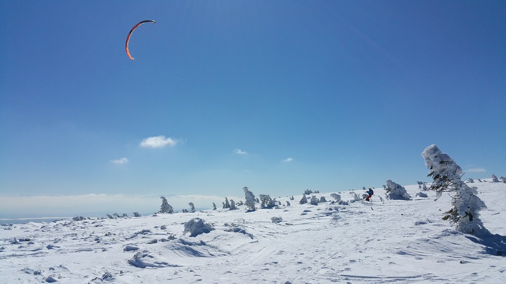 20180325_110957.jpg