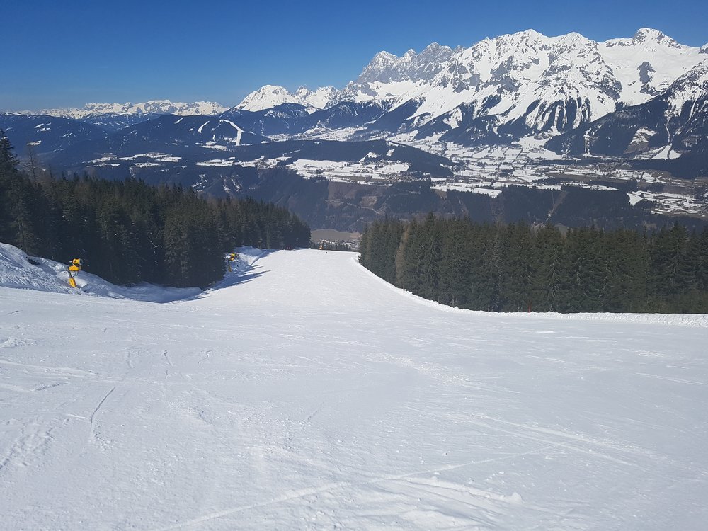 20180325_120447.jpg